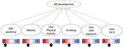 Sex-Specific Environmental Impacts on Initiation and Progression of Multiple Sclerosis